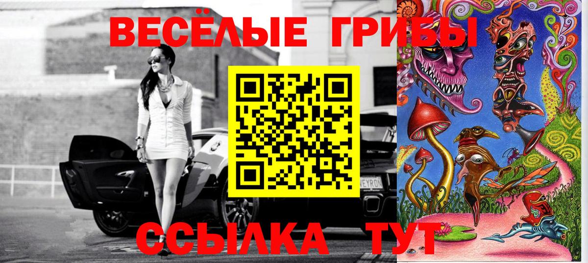 Баксан  Галлюциногенные грибы Magic Shrooms  Вход с VPN 